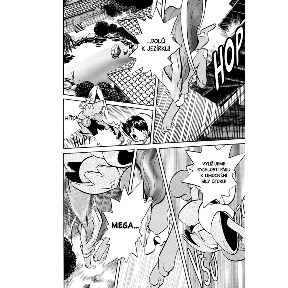 Pokémon: Gold a Silver 11