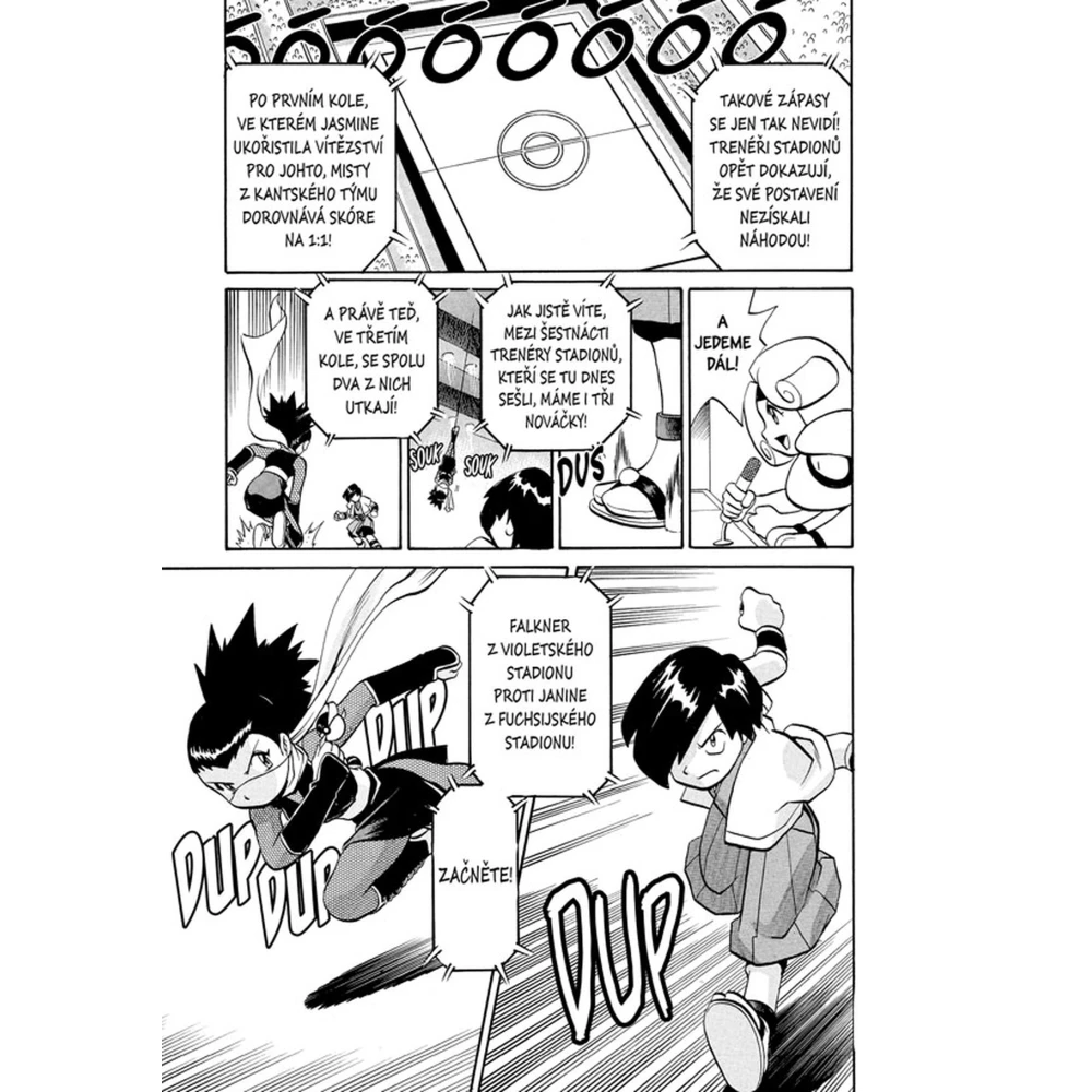 Pokémon: Gold a Silver 13