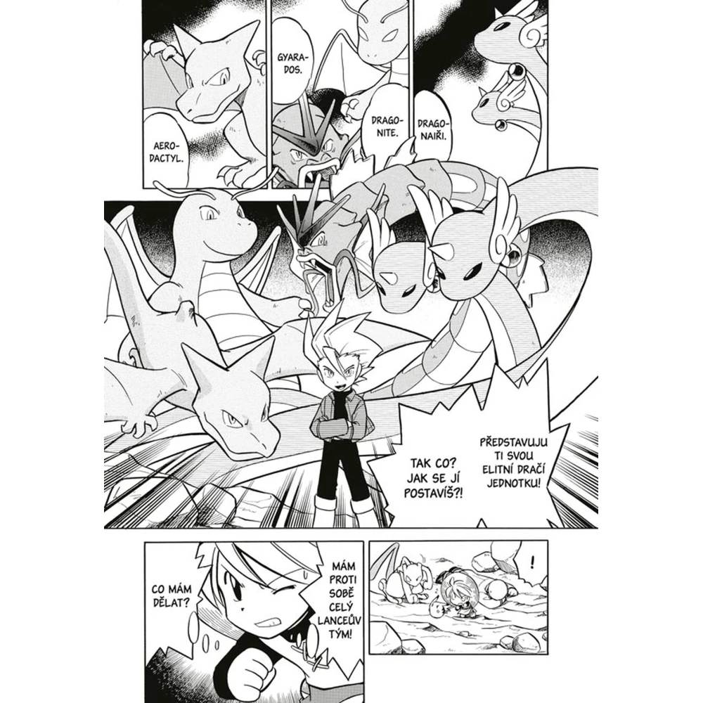 Pokémon: Red a Blue 7