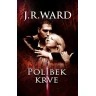 Polibek krve