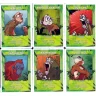Poo: The Card Game