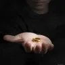 Der Herr der Ringe Anhänger - Der Eine Ring (Edelstahl)