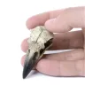 Anhänger Antiker Rabenschädel