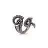 Ring Drachenumarmung