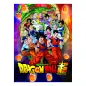 Puzzle Dragon Ball, 1000 dielikov