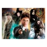 Harry Potter Puzzle, 500 dielikov