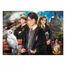 Puzzle Harry Potter v kufríku, 1000 dielikov - poškodený obal