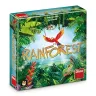 Rainforest