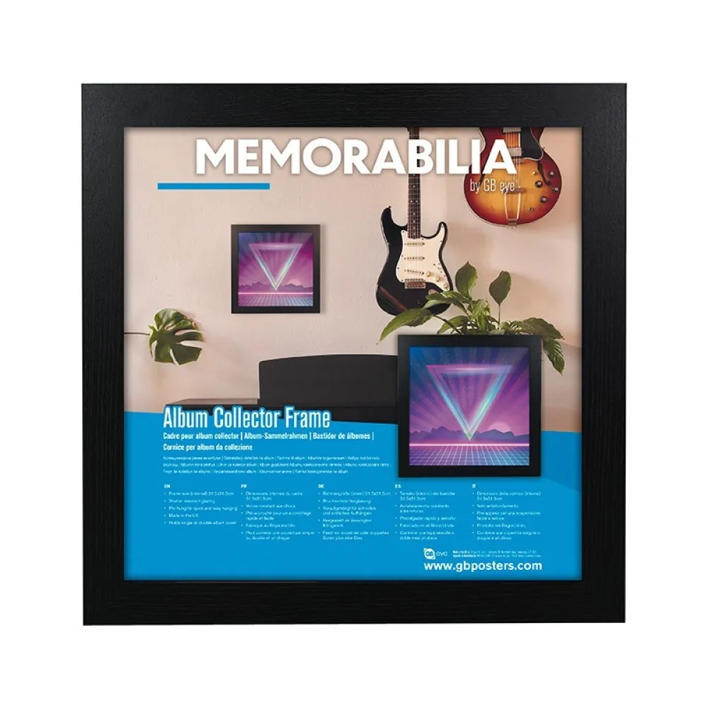 Vinyl record frame