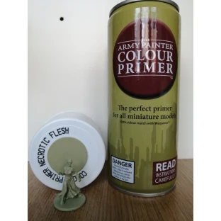 Army Painter Spray Necrotic Flesh