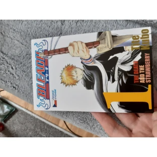 Bleach 1: The Death and the Strawberry