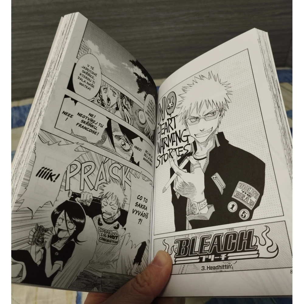 Bleach 1: The Death and the Strawberry