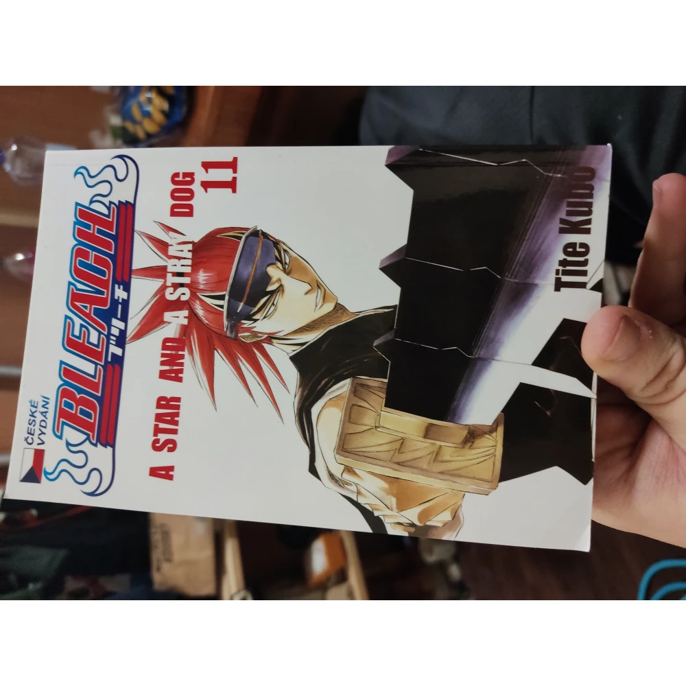 Bleach 11 - A Star and a Stray Dog