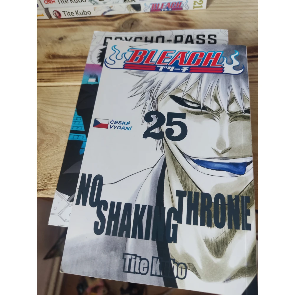 Bleach 25: No Shaking Throne