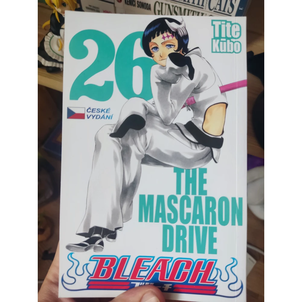 Bleach 26: The Mascaron Drive