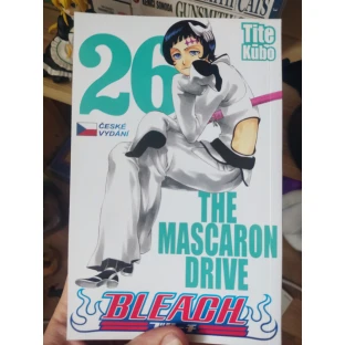 Bleach 26: The Mascaron Drive