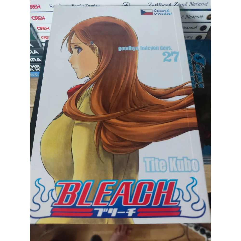 Bleach 27: Goodbye, halcyon days.