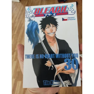 Bleach 30: There Is No Heart Without You