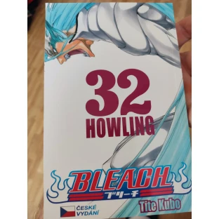 Bleach 32: Howling