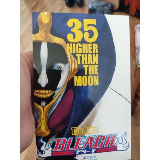 Bleach 35: Higher Than The Moon