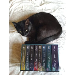 The Witcher Book Box - 26.5 cm