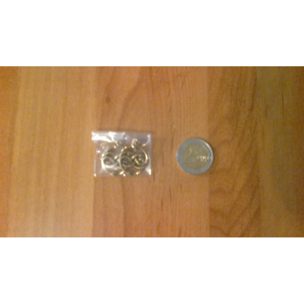 Auryn Ohrringe aus Bronze