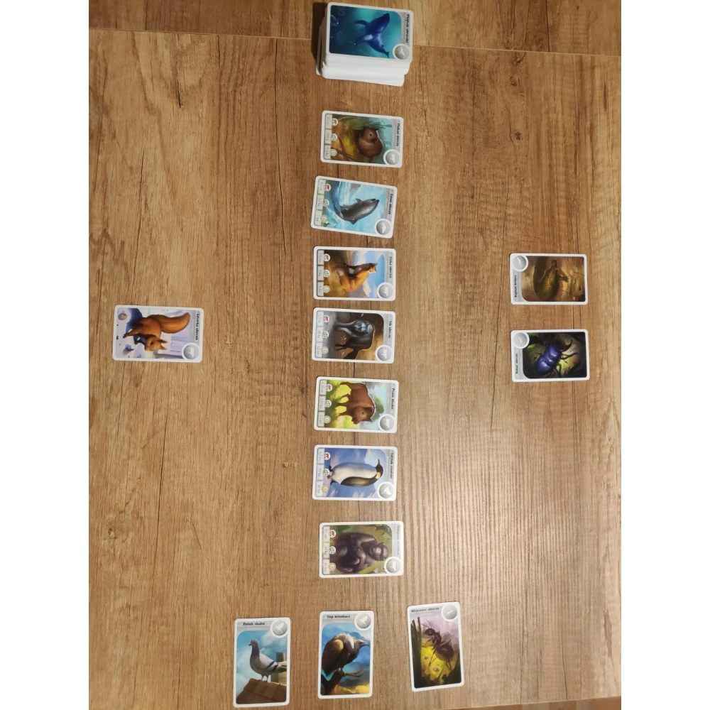 Cardline: Svět zvířat