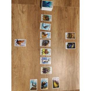 Cardline: Svět zvířat