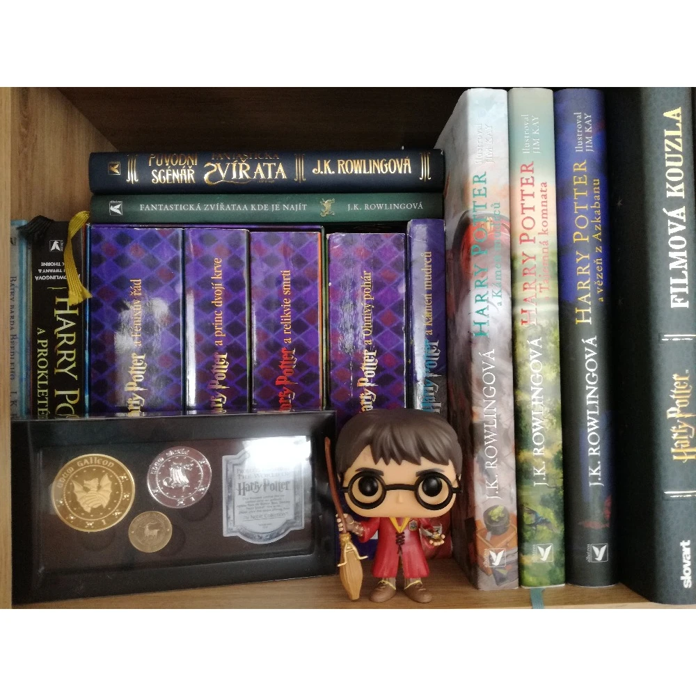 Wizarding Money