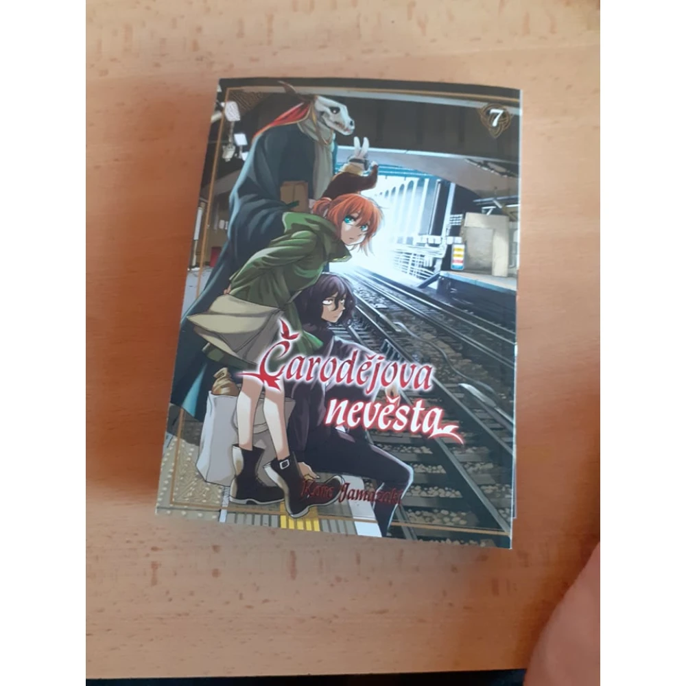 Čarodějova nevěsta 7
