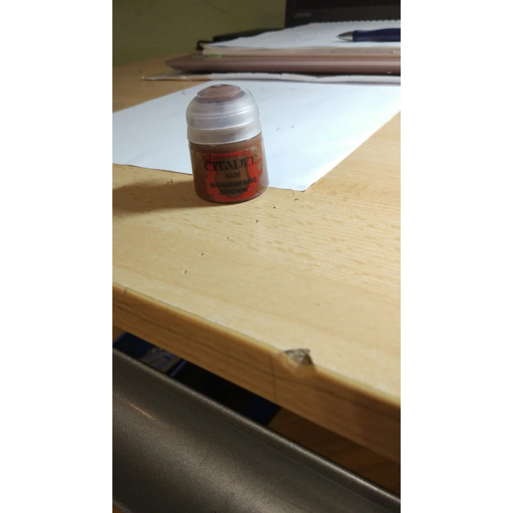 Citadel Base: Mournfang Brown