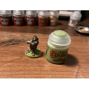 Citadel Base: Orruk Flesh