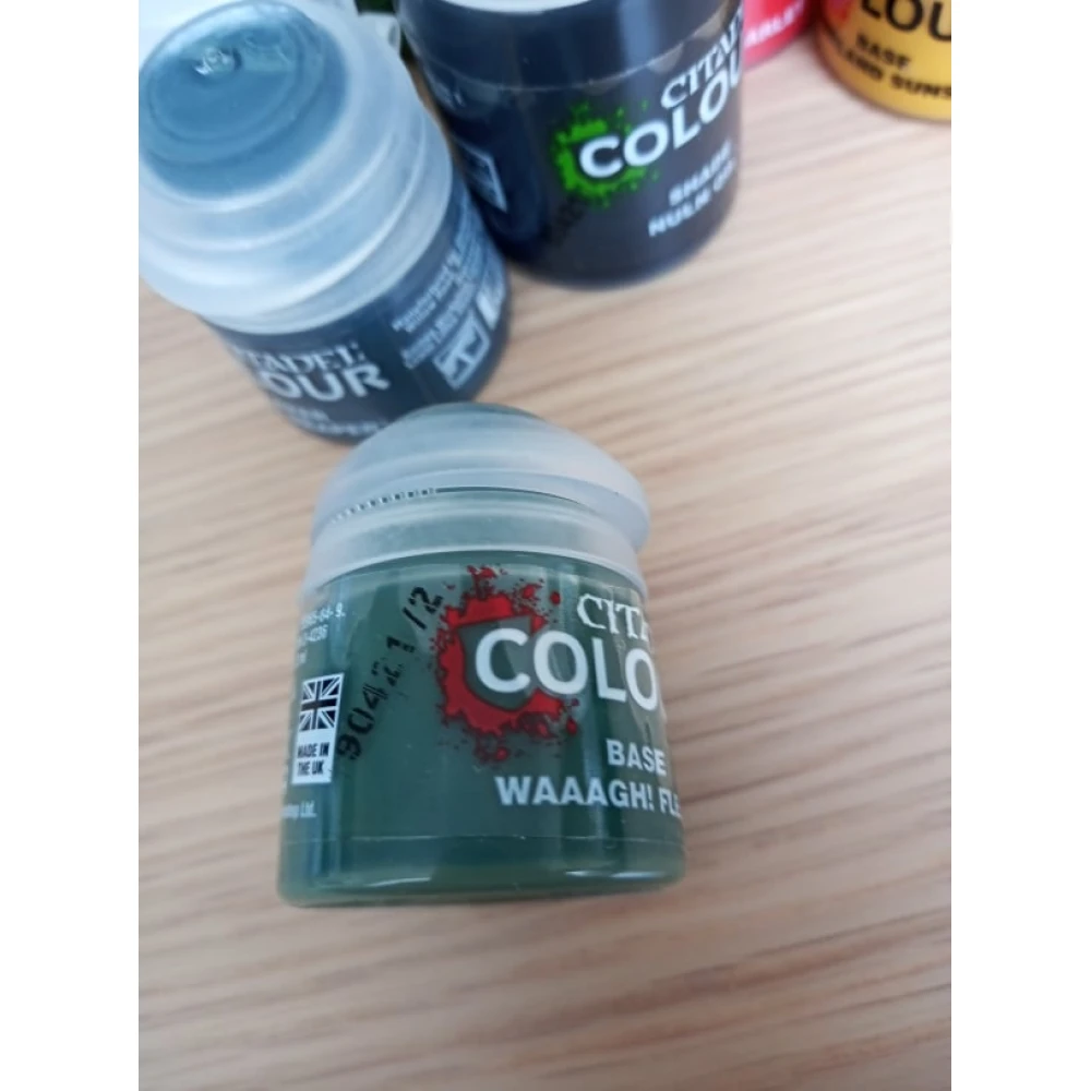 Citadel Base: Waaagh! Flesh
