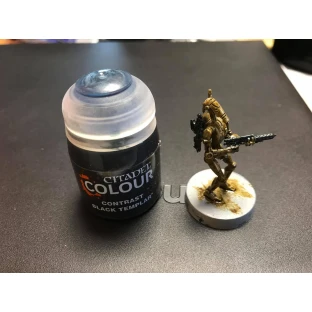 Citadel Contrast: Black Templar