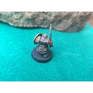 Citadel Contrast: Black Templar