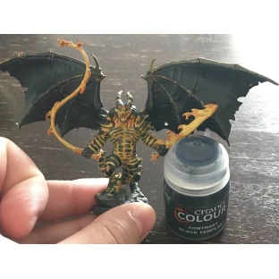 Citadel Contrast: Black Templar