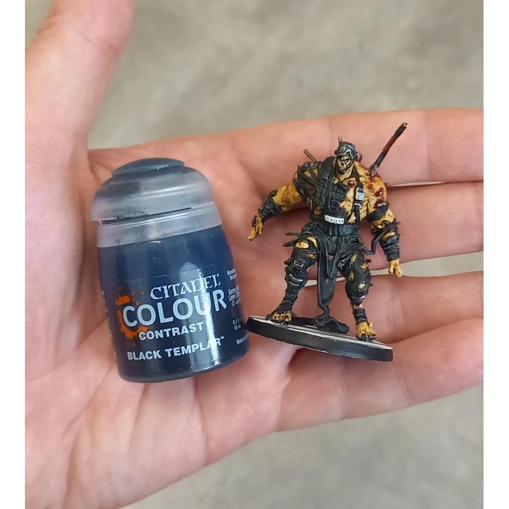 Citadel Contrast: Black Templar