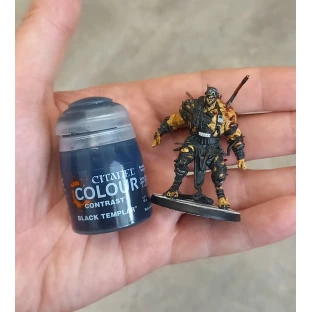 Citadel Contrast: Black Templar