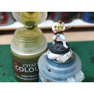 Citadel Contrast: Plaguebearer Flesh