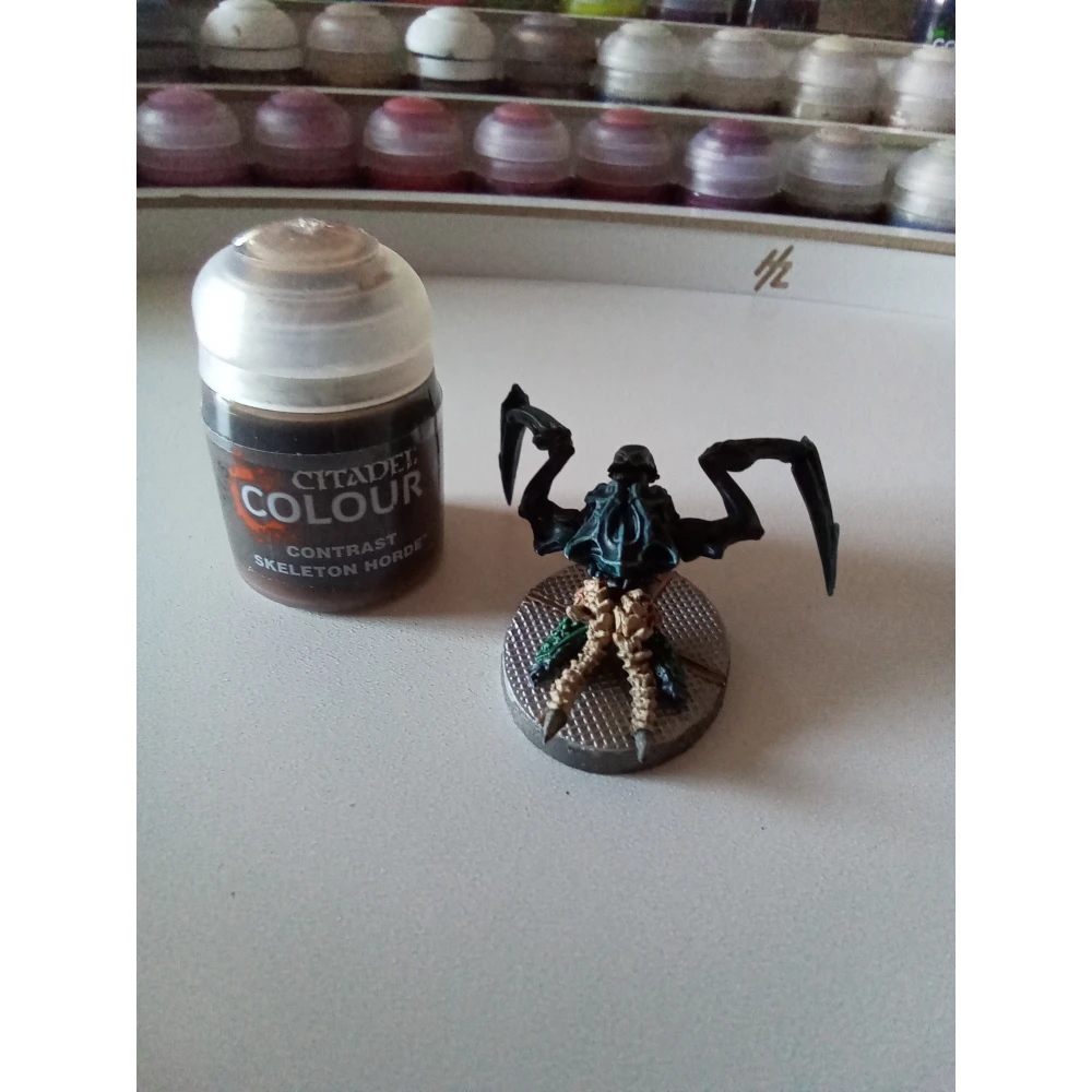 Citadel Contrast: Skeleton Horde