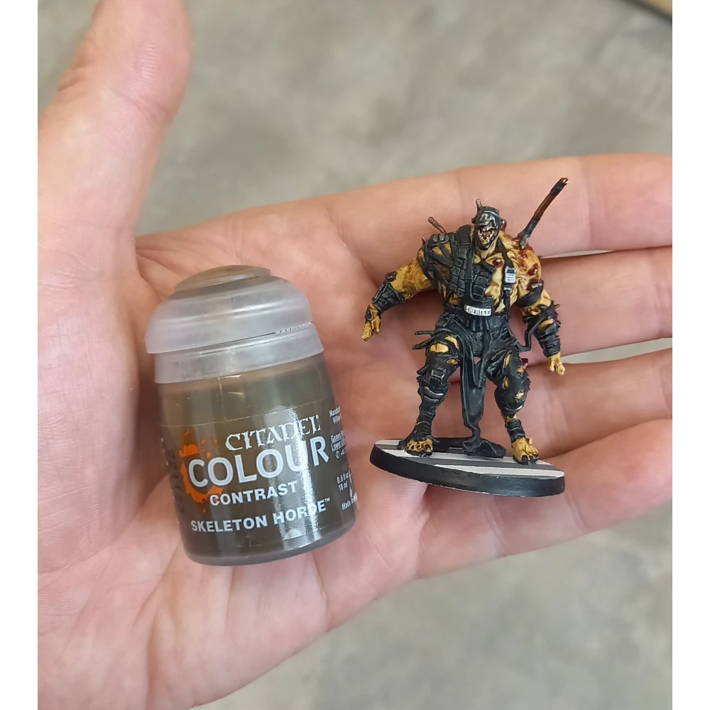 Citadel Contrast: Skeleton Horde