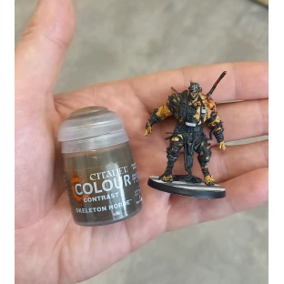 Citadel Contrast: Skeleton Horde