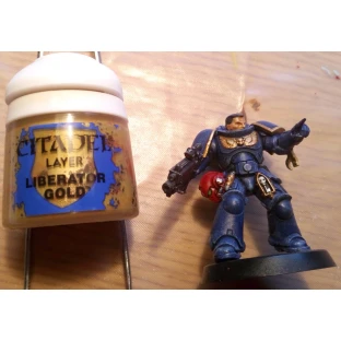 Citadel Layer: Liberator Gold