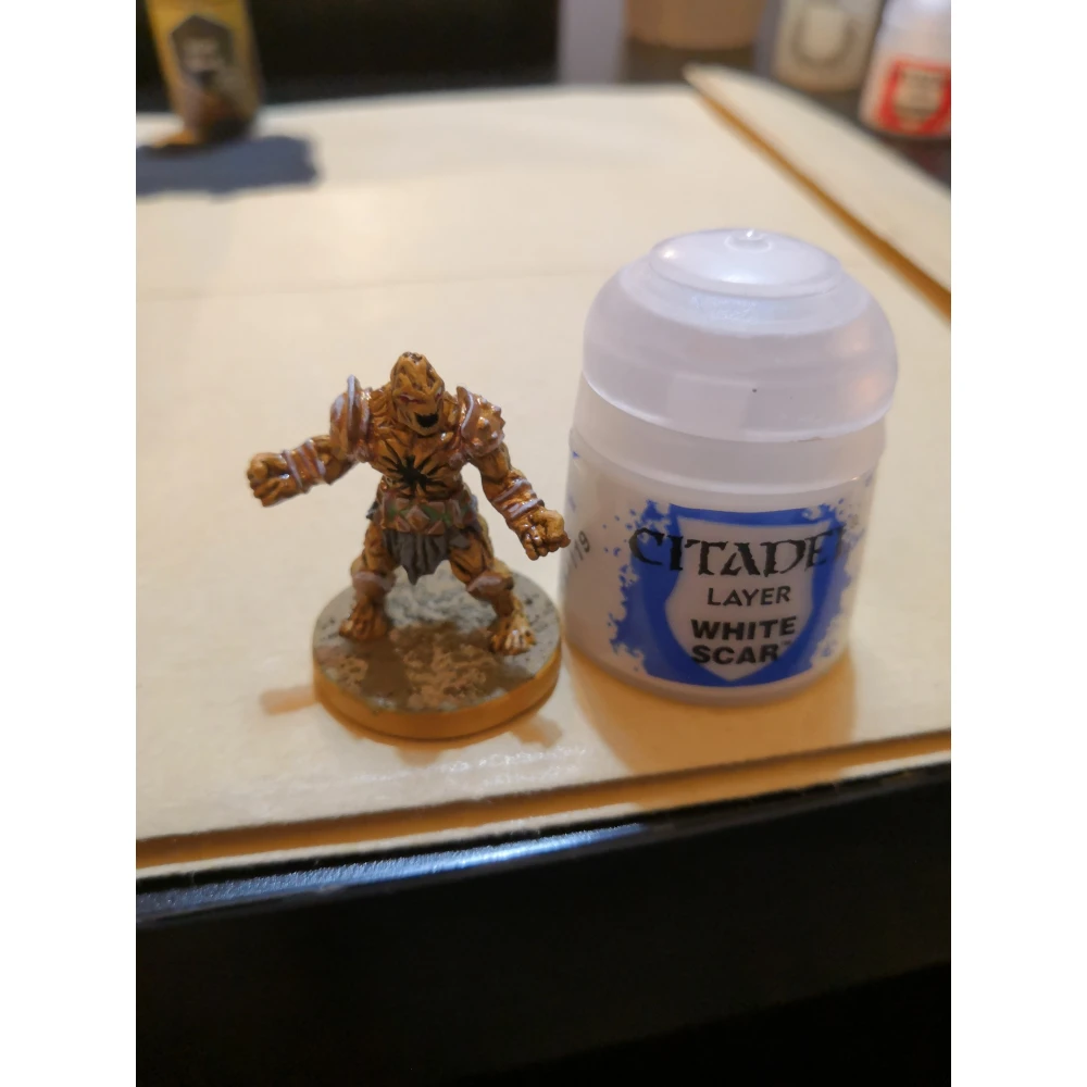Citadel Layer: White Scar