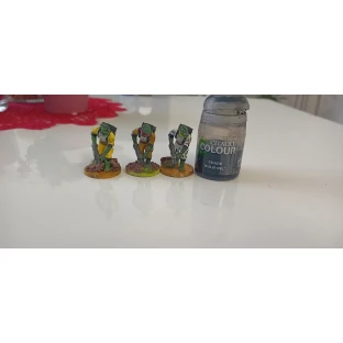 Citadel Shade: Nuln Oil