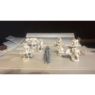 Citadel Spray: Grey Seer
