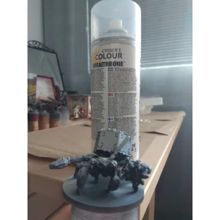 Citadel Spray: Wraithbone