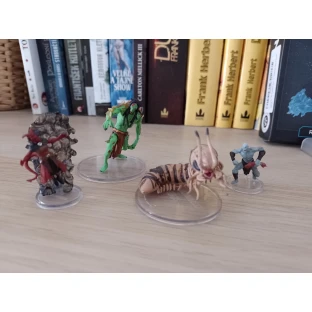 D&D Miniatures: Icons of the Realms - Boneyard