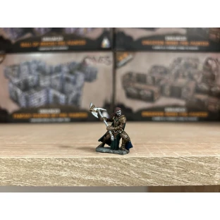 D&D Miniatures: Icons of the Realms - Half-Orc Fighter Female