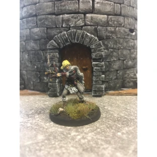 D&D Miniatures: Icons of the Realms - Human Female Barbarian